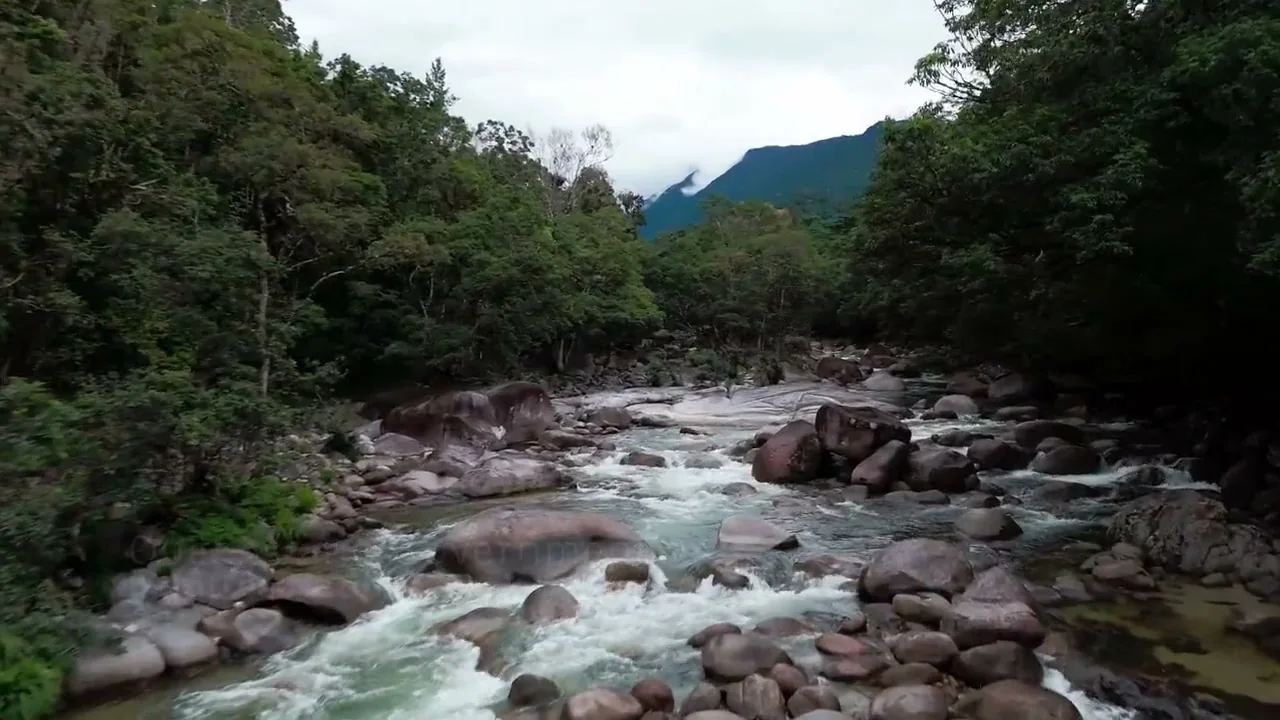 River running over boulders through rainforest beneath a mountain